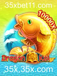 Descobrindo o Fascinante Mundo de DragonKoi